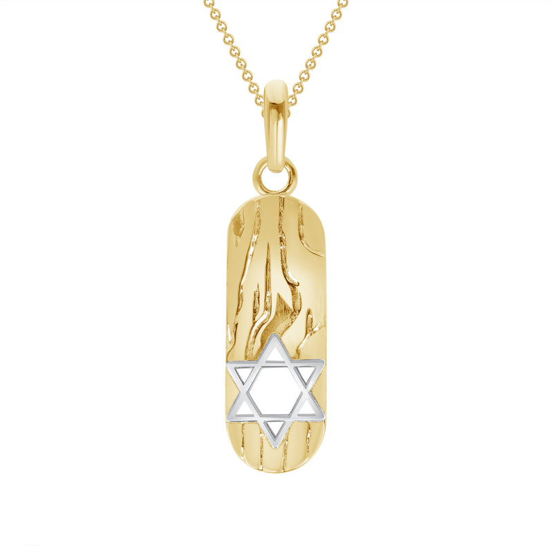Star of David Tag Pendant Necklace