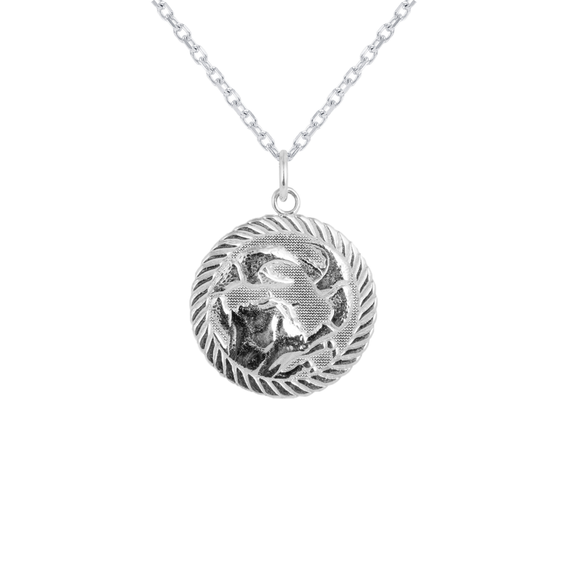 Reversible Cancer Zodiac Sign Charm Coin Pendant Necklace in Sterling Silver
