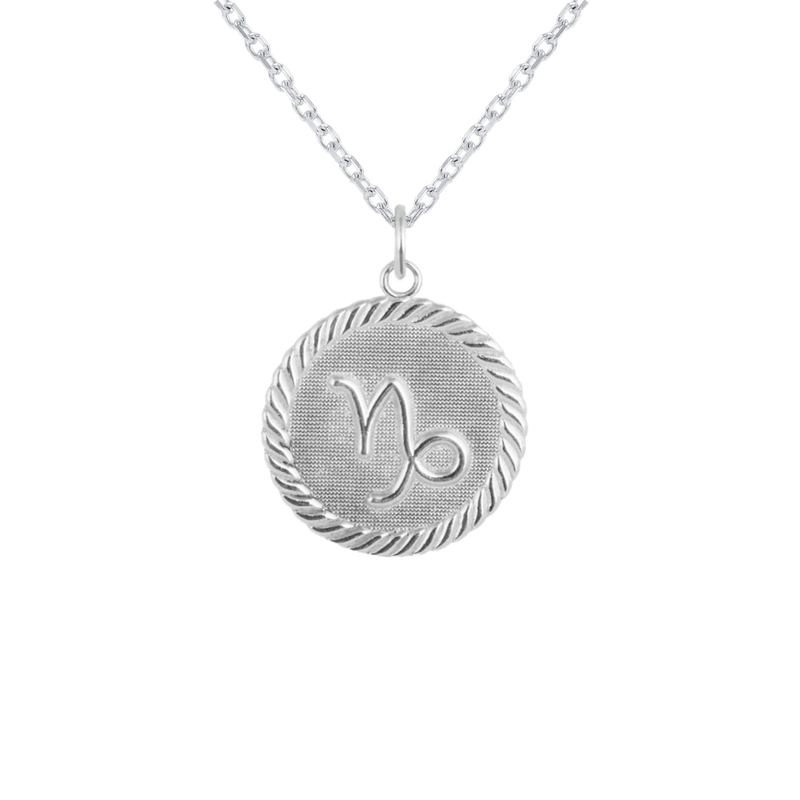Reversible Capricorn Zodiac Sign Charm Coin Pendant Necklace in Sterling Silver