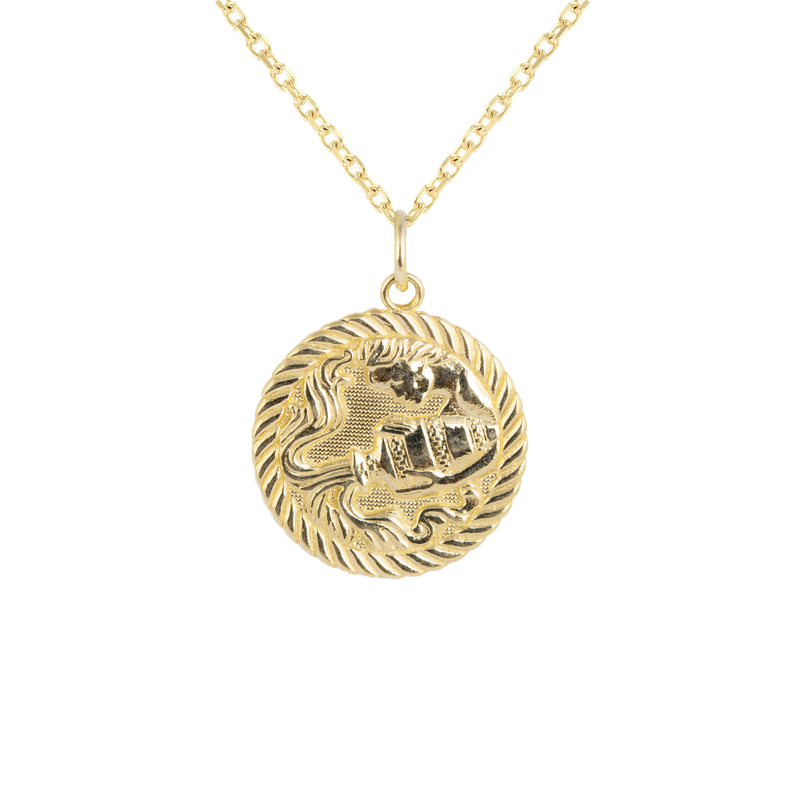 Reversible Aquarius Zodiac Sign Charm Coin Pendant Necklace in Solid Gold