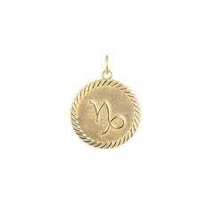 Reversible Capricorn Zodiac Sign Charm Coin Pendant Necklace in Solid Gold