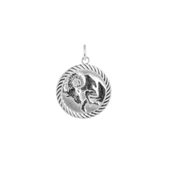 Reversible Capricorn Zodiac Sign Charm Coin Pendant Necklace in Sterling Silver