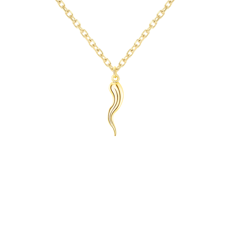 Gold best sale cornicello pendant