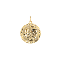 Reversible Scorpio Zodiac Sign Charm Coin Pendant Necklace in Solid Gold