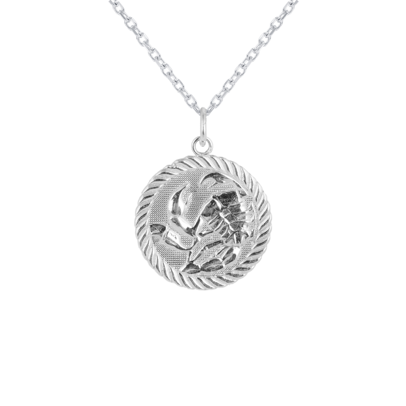 Reversible Scorpio Zodiac Sign Charm Coin Pendant Necklace in Solid Go ...