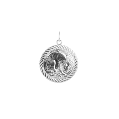 Reversible Taurus Zodiac Sign Charm Coin Pendant Necklace in Sterling Silver