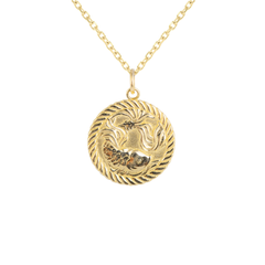 Reversible Pisces Zodiac Sign Charm Coin Pendant Necklace in Solid Gold